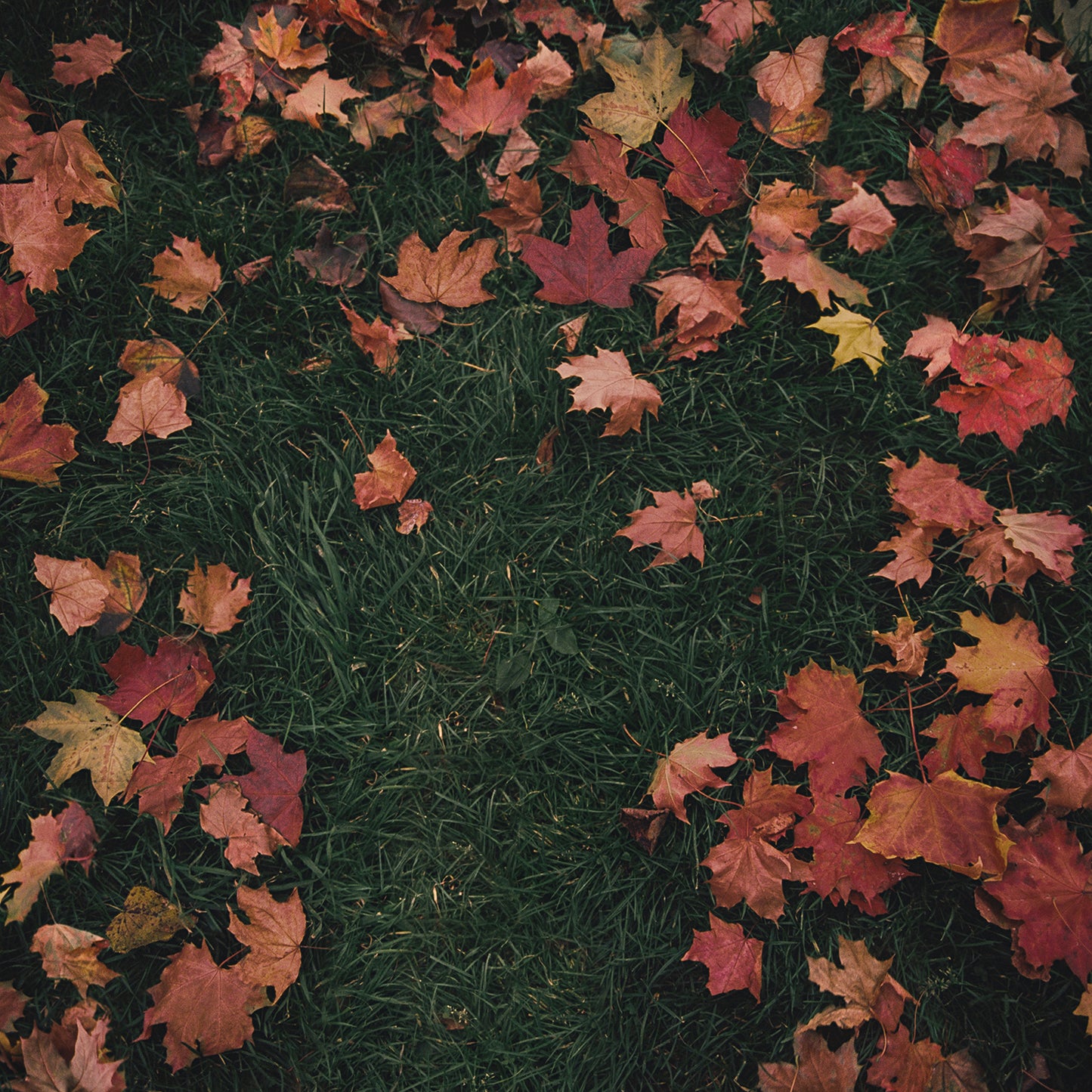October Passed Me By 7" Vinyl